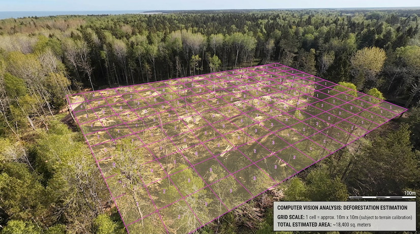 Forest removal area estimation